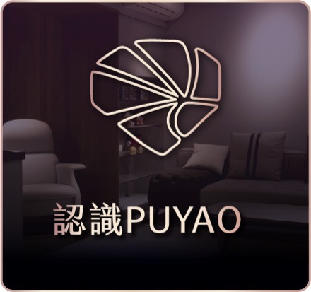 認識PUYAO