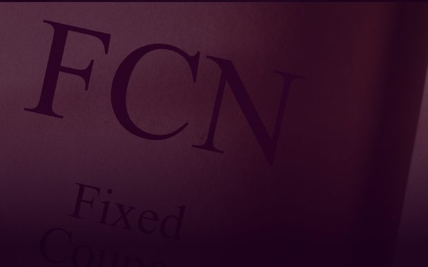 FCN 金融商品說明文件特寫